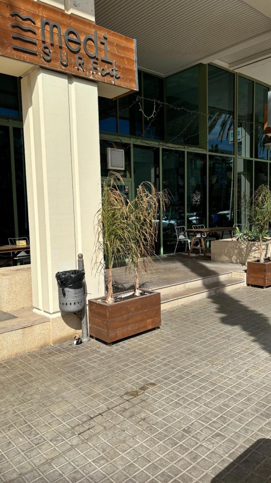 Apartamento Primera Linea De Playa Patacona فالنسيا المظهر الخارجي الصورة